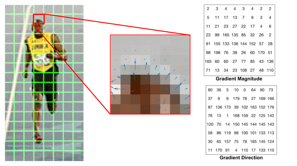 fig 3: Gradients